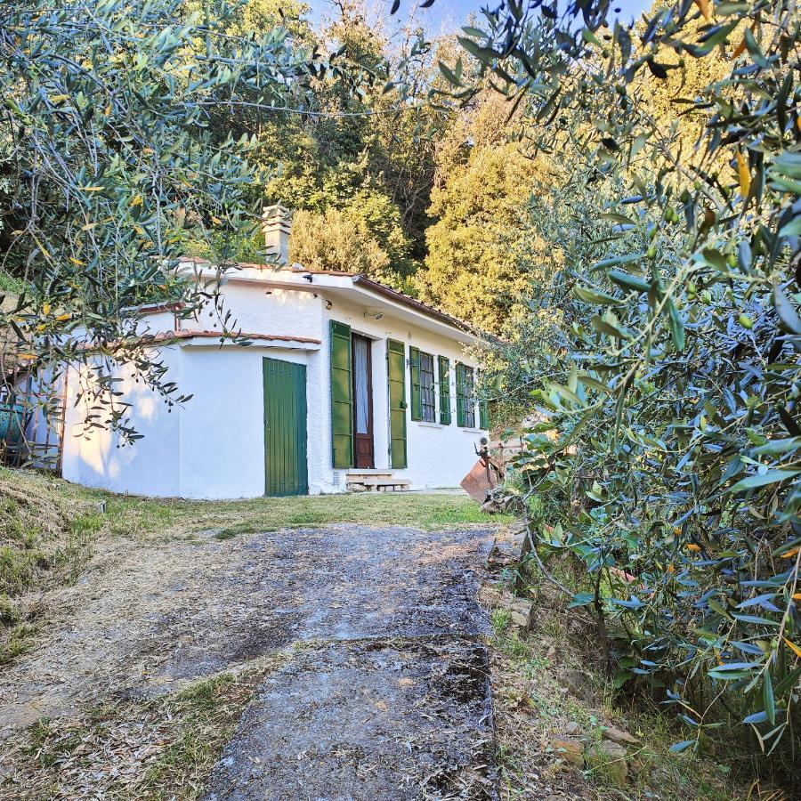 Massaciuccoli Romana Εξωτερικό φωτογραφία