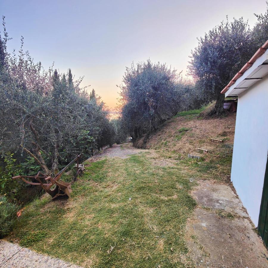 Massaciuccoli Romana Εξωτερικό φωτογραφία
