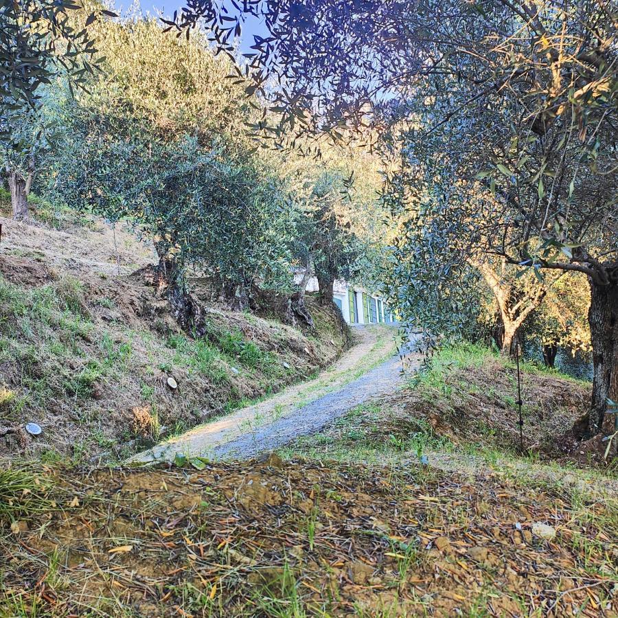 Massaciuccoli Romana Εξωτερικό φωτογραφία