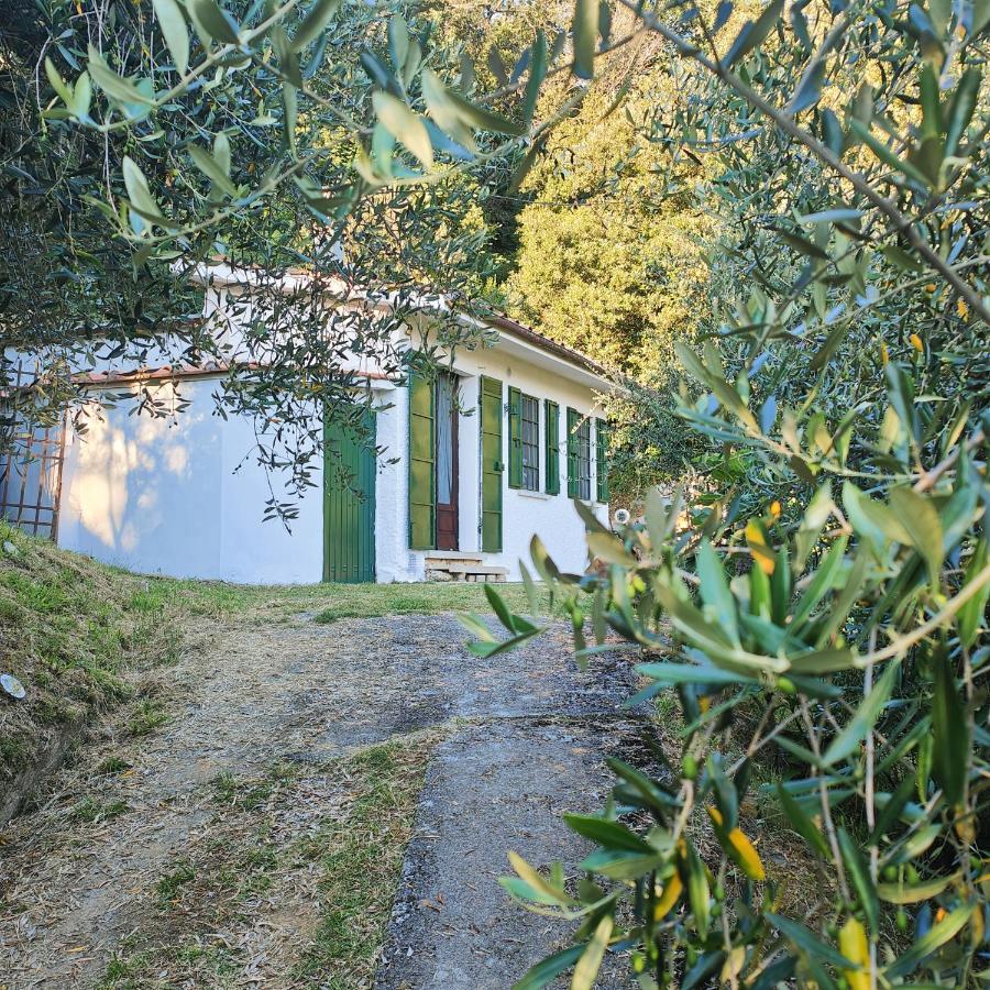 Massaciuccoli Romana Εξωτερικό φωτογραφία