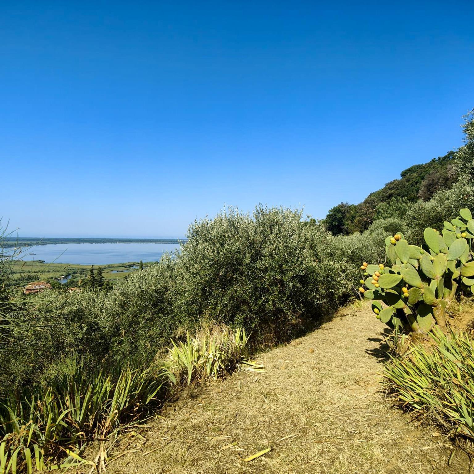 Massaciuccoli Romana Εξωτερικό φωτογραφία