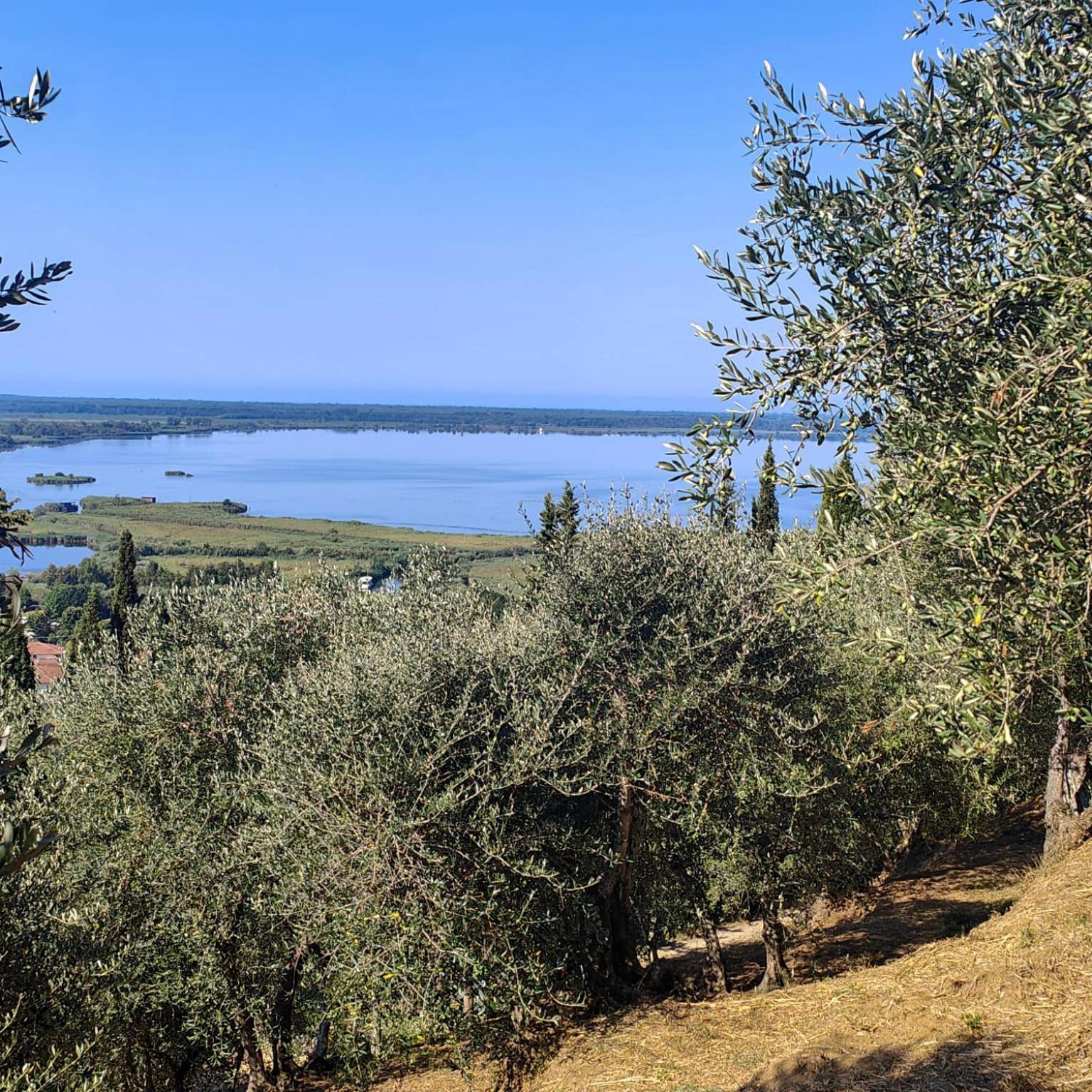 Massaciuccoli Romana Εξωτερικό φωτογραφία
