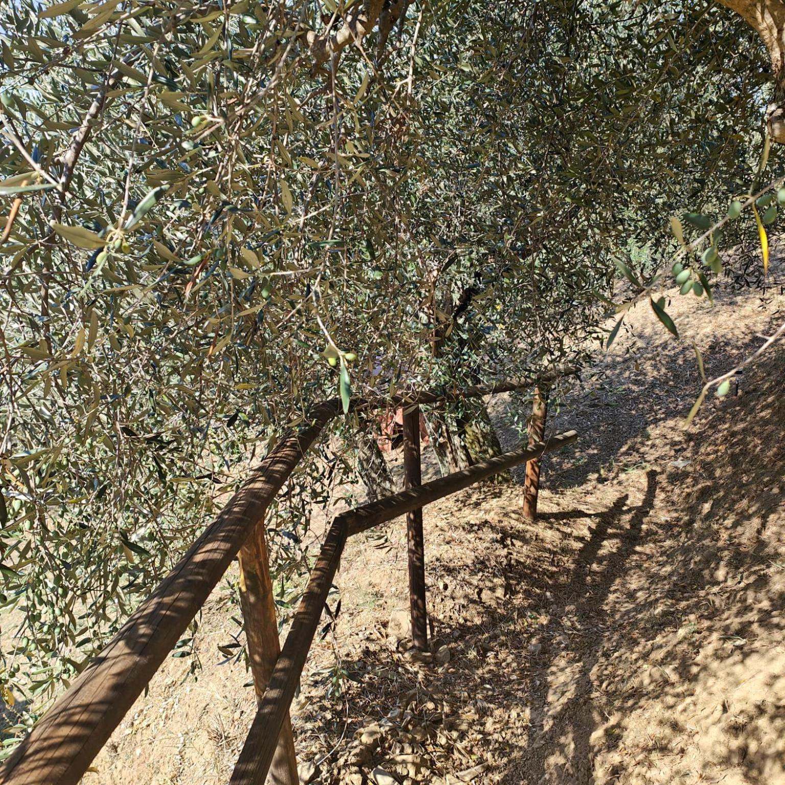 Massaciuccoli Romana Εξωτερικό φωτογραφία